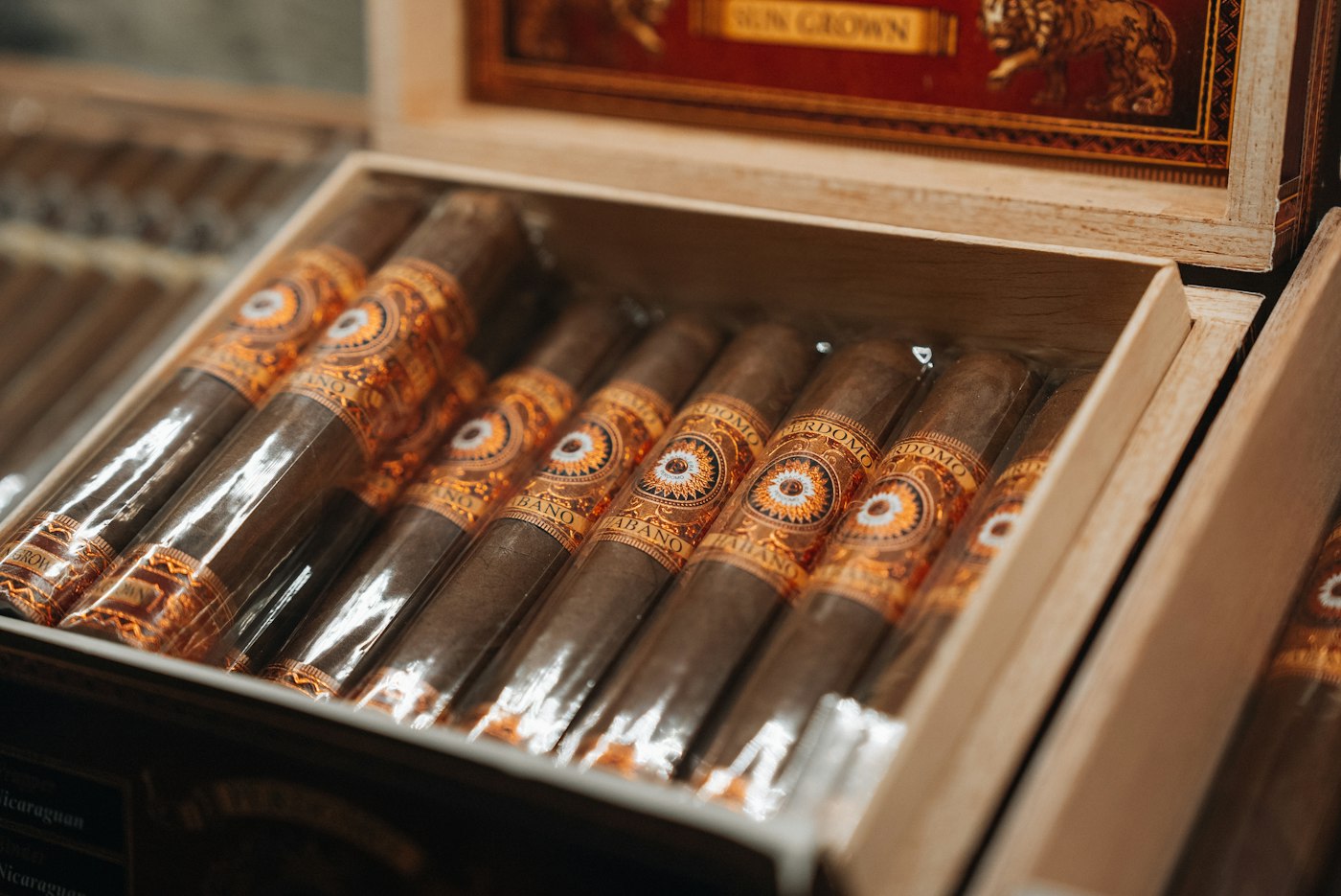 A fresh box of premium cigars, ready for the humidor.